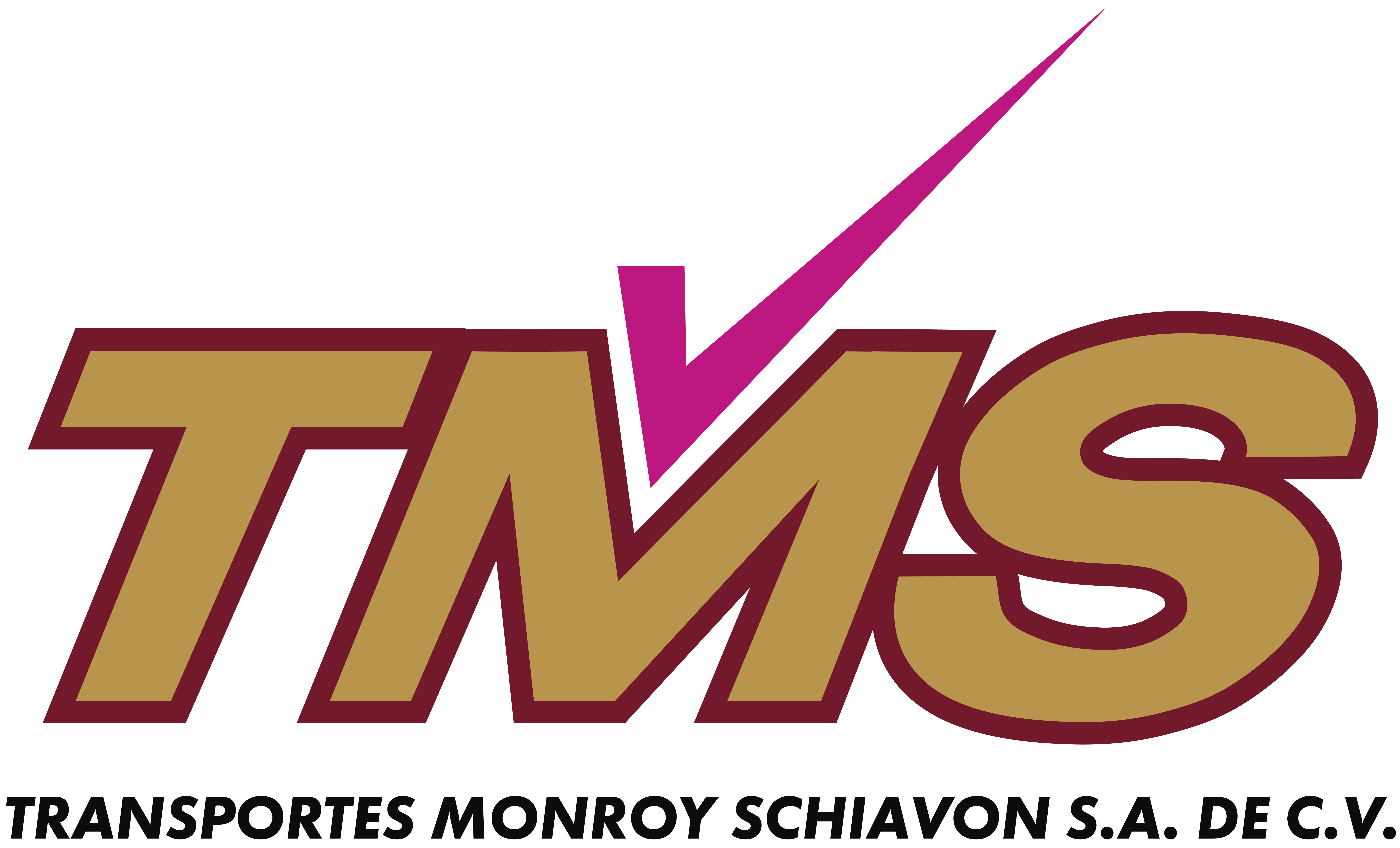 TMS Tractos Usados